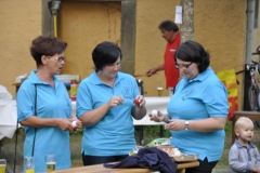 vogelkroenen-kr-schuetzenfest-2012_02