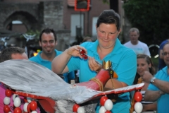 vogel_kroenen_2013_20